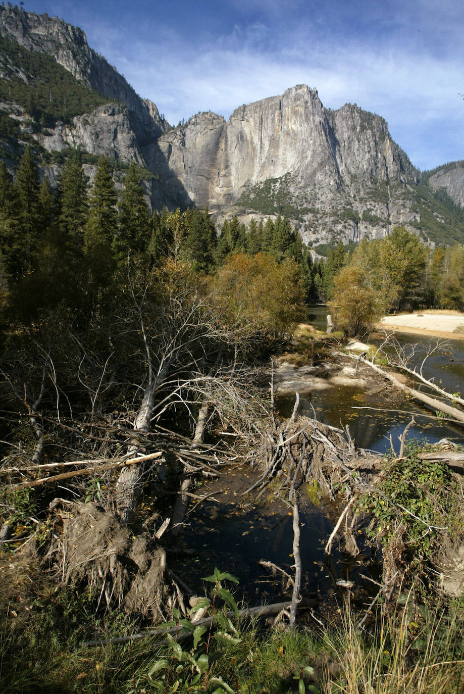 Fotos: La belleza salvaje de Yosemite