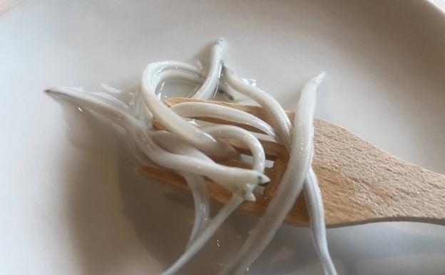 Cata de angulas recién cocidas, pero sin cocinar con aceite.