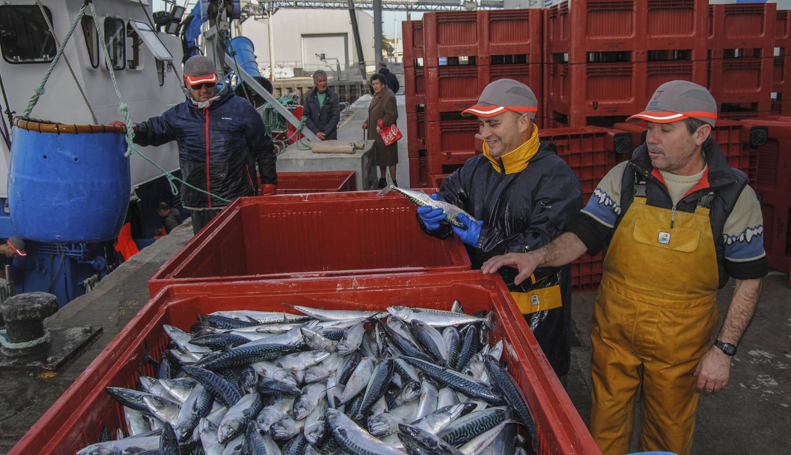 Pescadores, con verdel, en el puerto de Santoña, en 2019.