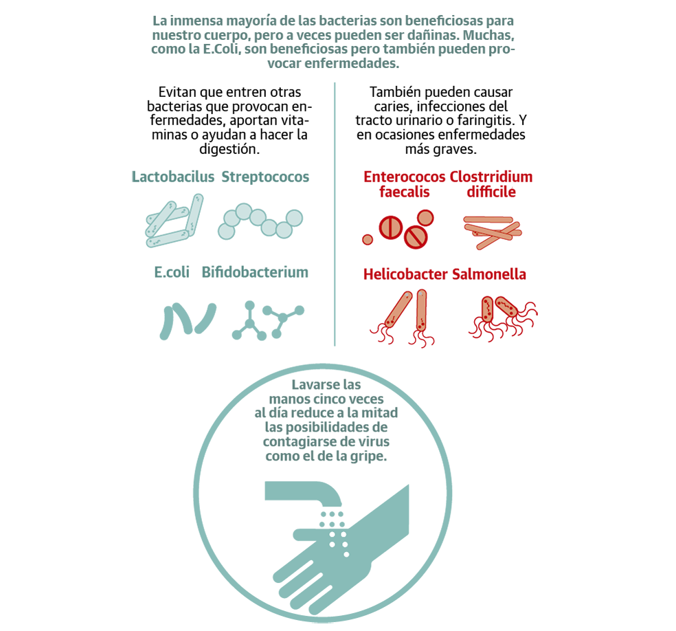 La microbiota