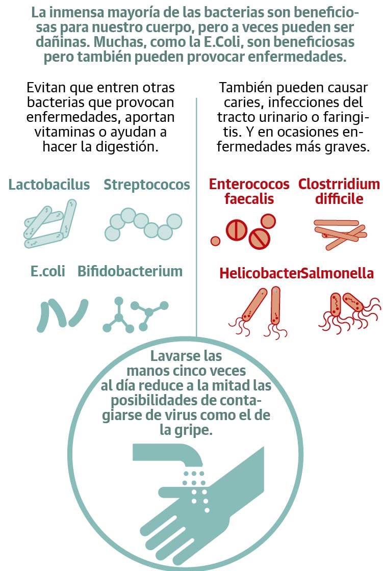 La microbiota