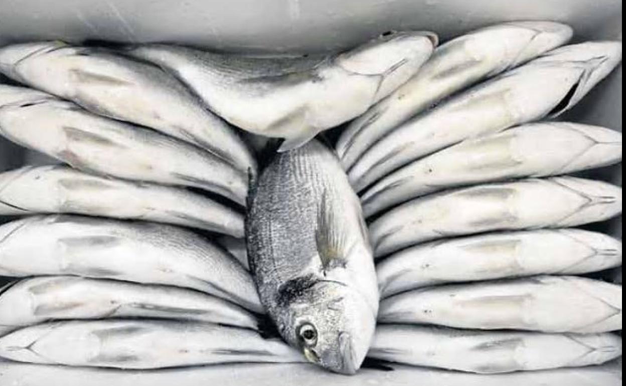 Dorada escaldada, un plato suave para cenar sano