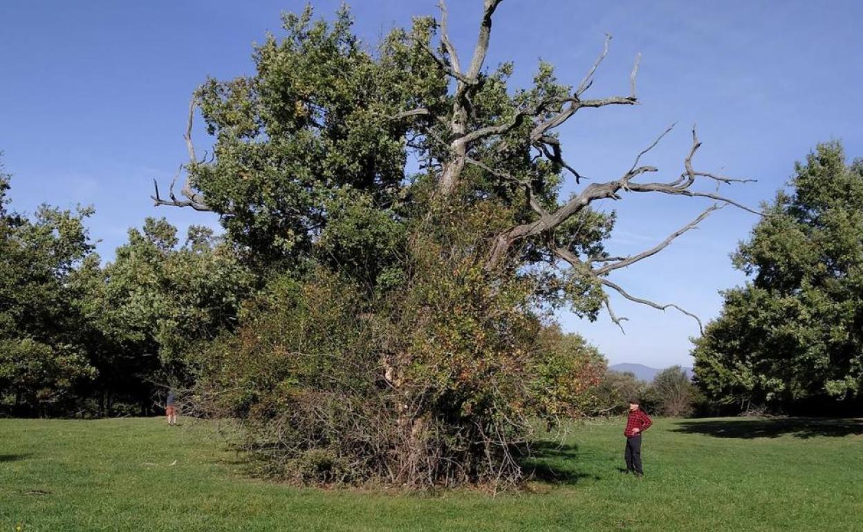 El paisaje de la reserva de Arimotxe, donde se desarrolla esta marcha. 