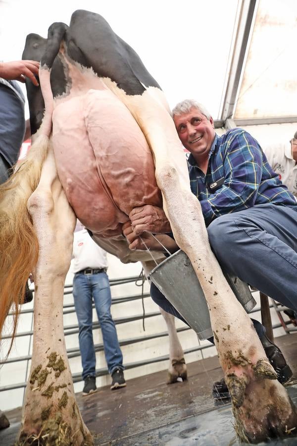 La Feria de la Leche de Trasierra ha ensalzado la labor de los ganaderos y un precio justo para la leche por cuarto año consecutivo, un evento con gran aceptación que se ha celebrado en este barrio del municipio de Ruiloba con motivo de la festividad de Santa Eulalia. 