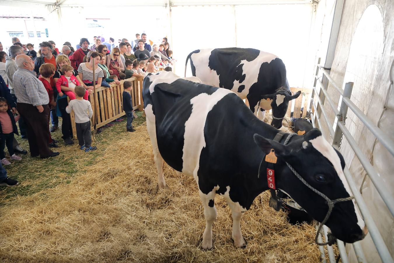 La Feria de la Leche de Trasierra ha ensalzado la labor de los ganaderos y un precio justo para la leche por cuarto año consecutivo, un evento con gran aceptación que se ha celebrado en este barrio del municipio de Ruiloba con motivo de la festividad de Santa Eulalia. 