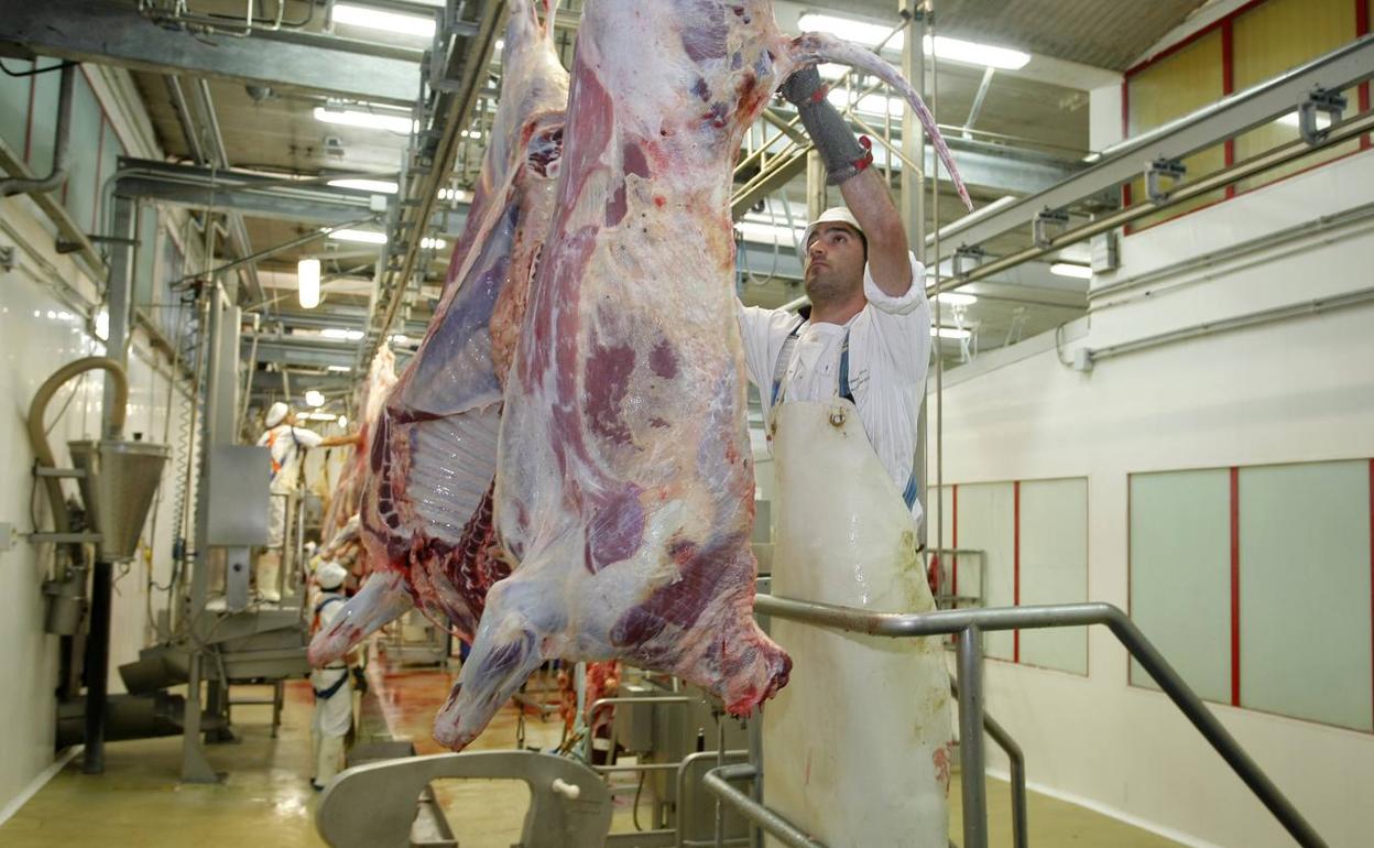 Un empleado del matadero trabaja en la sala de despiece de las instalaciones de Barreda.