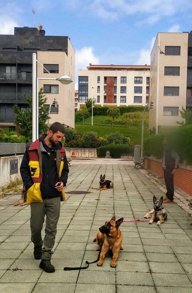 Mauro Alonso en una sesión de educación con tres perros.