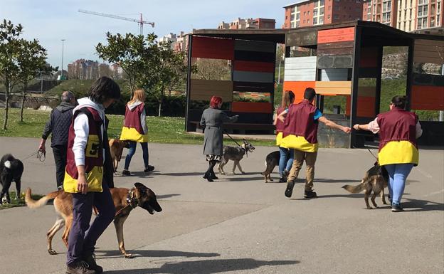 Grupo de paseo por el parque de Las Llamas.