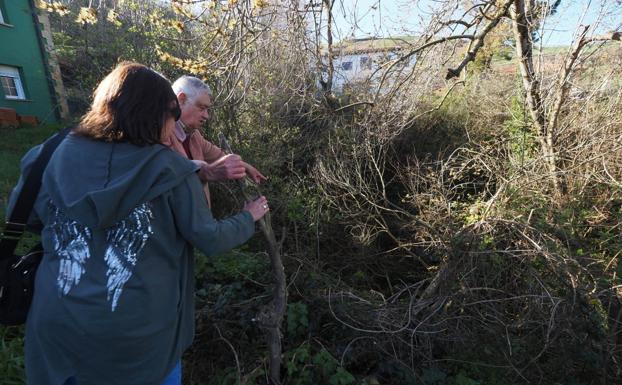 Tras los matorrales se esconde la Torca de Aloños que ha adquirido el Ayuntamiento.