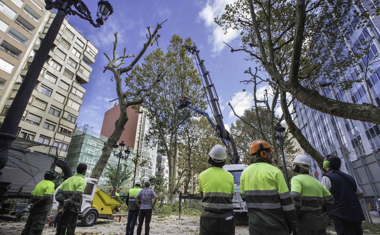 La UTE Parques y Jardines deberá devolver 878.200 euros al Ayuntamiento de Santander por revisión de precios