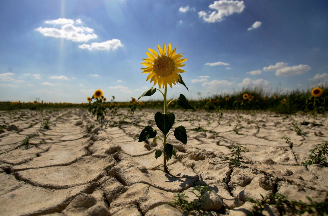 Imagen principal - La defensa del medio ambiente es uno de los temas centrales del trabajo del fotorreportero español.