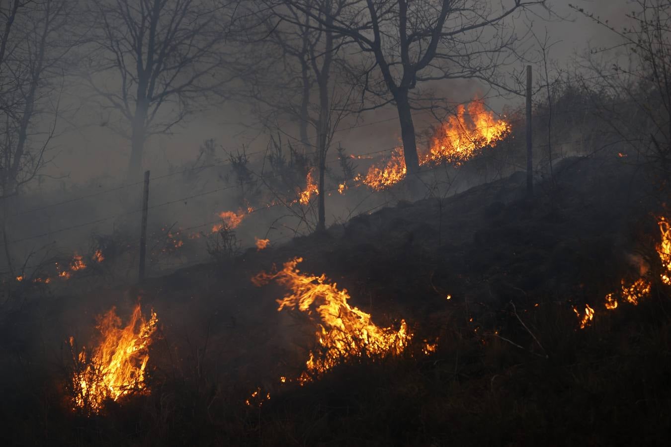 Fuego en la carretera que va hacia Carmona.