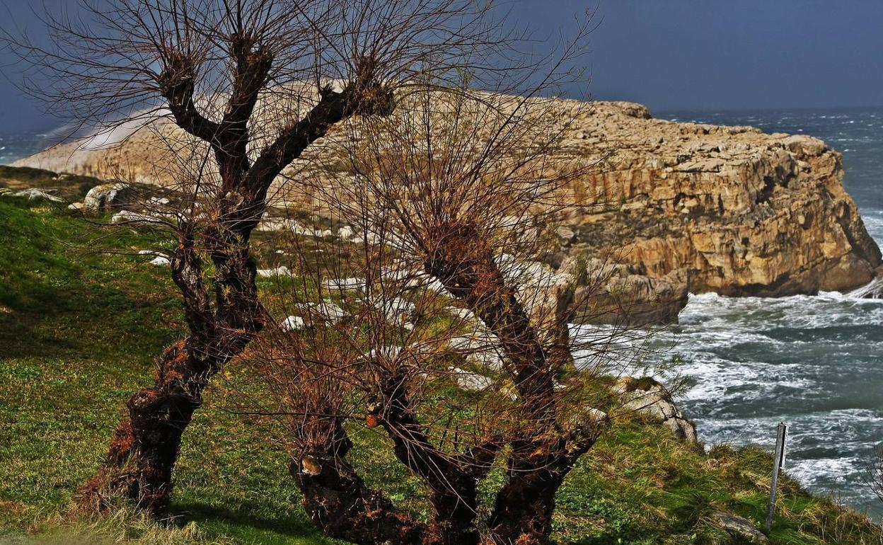 Jornada de voluntariado ambiental en Suances