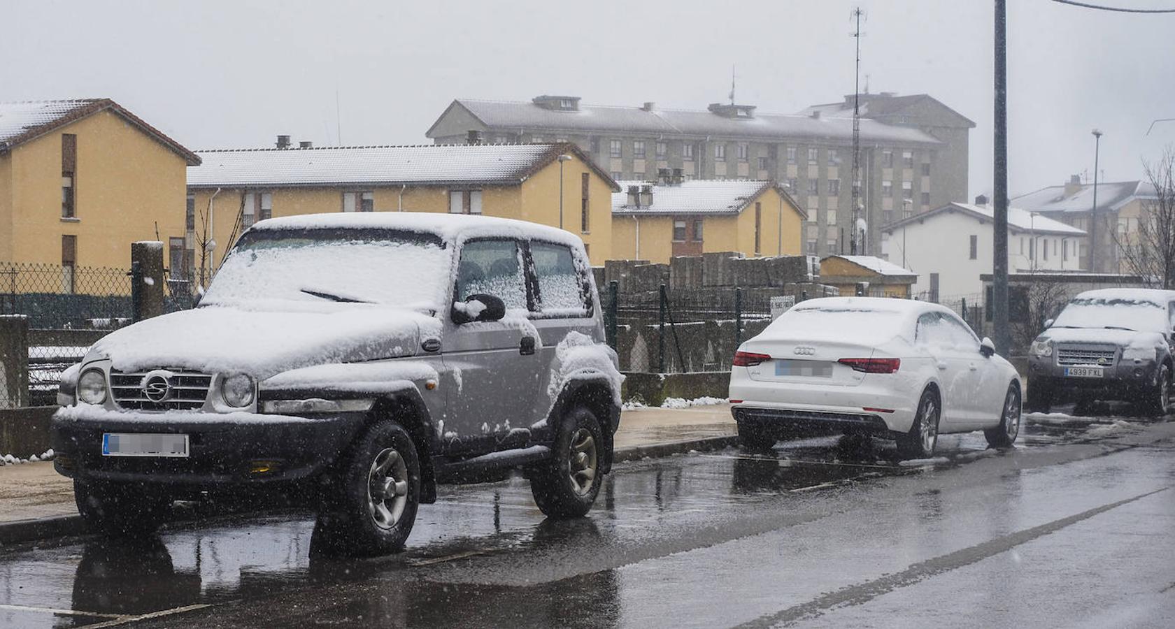 Fotos: Llega la nieve al sur de Cantabria