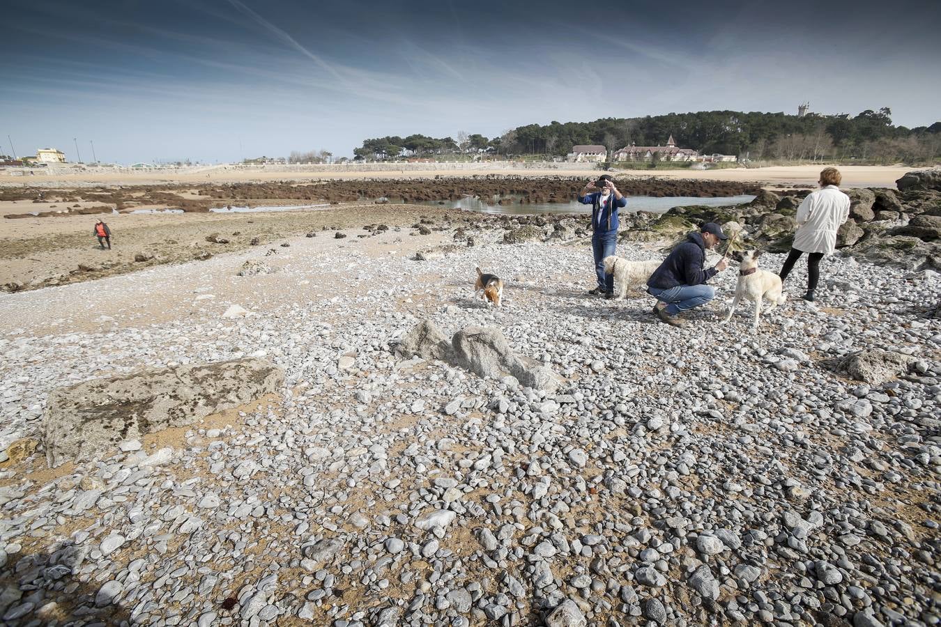 Fotos: La marea viva deja espectaculares imágenes de la bahía de Santander con la bajamar y la pleamar