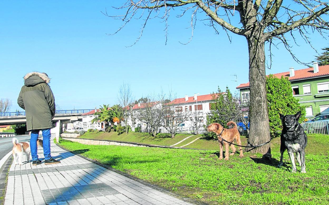 La nueva ordenanza tiene muy en cuenta a los animales. dm