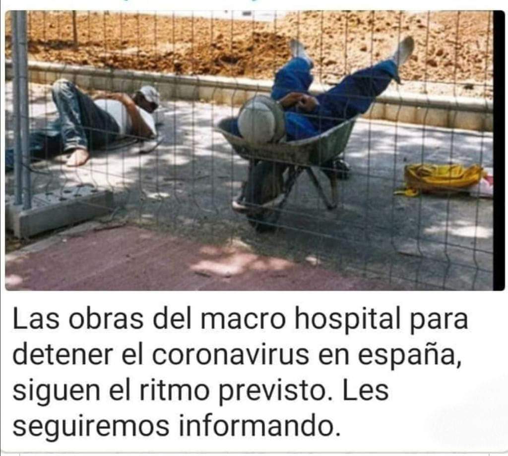 Fotos: Los memes del coronavirus para sobrellevar el encierro