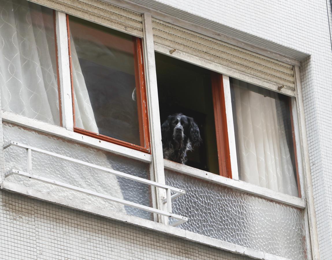 Calles y carreteras vacías, gente asomada a los balcones y operarios lavando y desinfectando, entre las imágenes del día. 