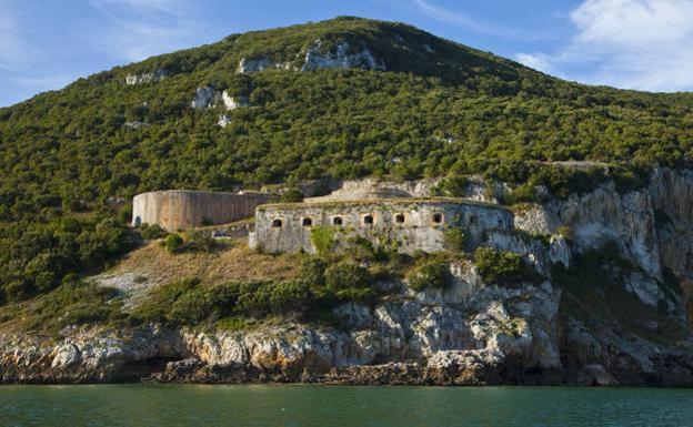 Monte Buciero (Santoña). Existen varias rutas para descubrir faros y acantilados, un fuerte napoleónico y un ecosistema de bosque que protege el encinar cantábrico más valioso del norte peninsular. Superviviente a suelos calizos, este monte descansa sobre una península unida al continente por el tómbolo que cobija la playa de Berria, en Santoña. Con forma casi circular y unas 600 hectáreas. Los 378 metros de la Peña Ganzo representan su mayor elevación, erigidos para asombrar a los visitantes. La encina cantábrica, de tendencia litoral, reina en este territorio, pero laureles, madroños, labiérnagos o aladiernos, entre otras especies, salpican también las sendas apropiadas para entretener a toda la familia, desde el más pequeño al más grande. Proliferan ejemplos de trepadoras que envuelven de aires selváticos la imaginación de los más pequeños, mientras los senderistas avanzan a través del camino, disfrutando de las encinas y las visitas sobre el Cantábrico.