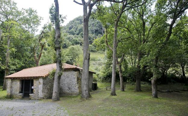 Arboretum (Liendo). Situado junto a la carretera N-634, tras abandonar el barrio de Mollaneda en dirección Bilbao, se extiende sobre una parcela de 20.000 metros cuadrados en torno a la antigua ermita de San Roque. En este pequeño jardín botánico pueden observarse árboles de los cinco continentes, por si prefieres la variedad a las especies únicas o destacadas. Instalaciones interactivas ayudan a enriquecer la visita, para tocar e incluso oler. Pasear por los senderos del parque es como hacerlo por el mundo y la variedad de su naturaleza. Está dividido en jardines, uno por continente, con el propósito de reconocer los bosques y los elementos que amenazan su existencia. Saber de sus bondades. Despertar nuestros sentidos. Descubrir cómo los humanos hemos explotado estas grandes extensiones, a veces hasta consumirlas. Para aprender de los errores. Incluso pedir perdón por nuestros pecados.