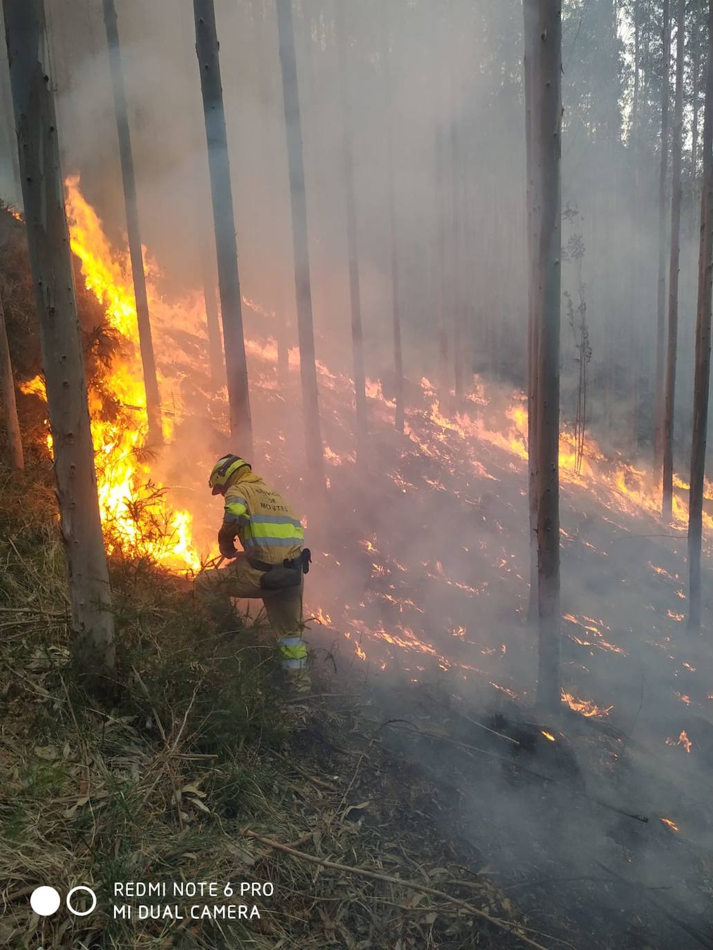 Fotos: Desde ayer se han provocado 11 incendios forestales en pleno estado de alarma