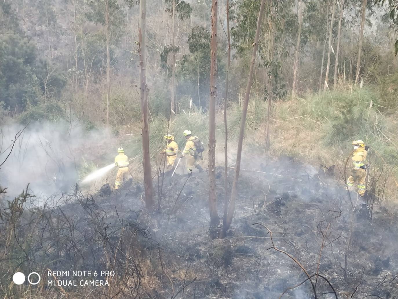 Fotos: Desde ayer se han provocado 11 incendios forestales en pleno estado de alarma