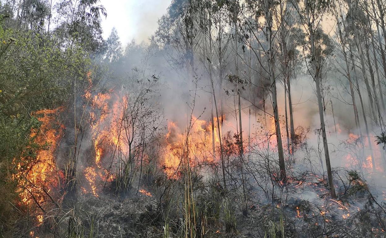 Identificados dos presuntos autores de incendios forestales provocados en Cantabria