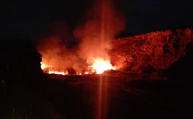 Llamativo incendio en una zona de eucaliptos entre Gajano y Elechas