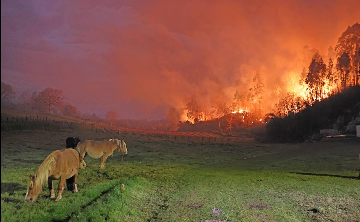 Los incendios forestales de ayer dañan redes de comunicación en el entorno de Santander, los Valles Pasiegos y el área occidental