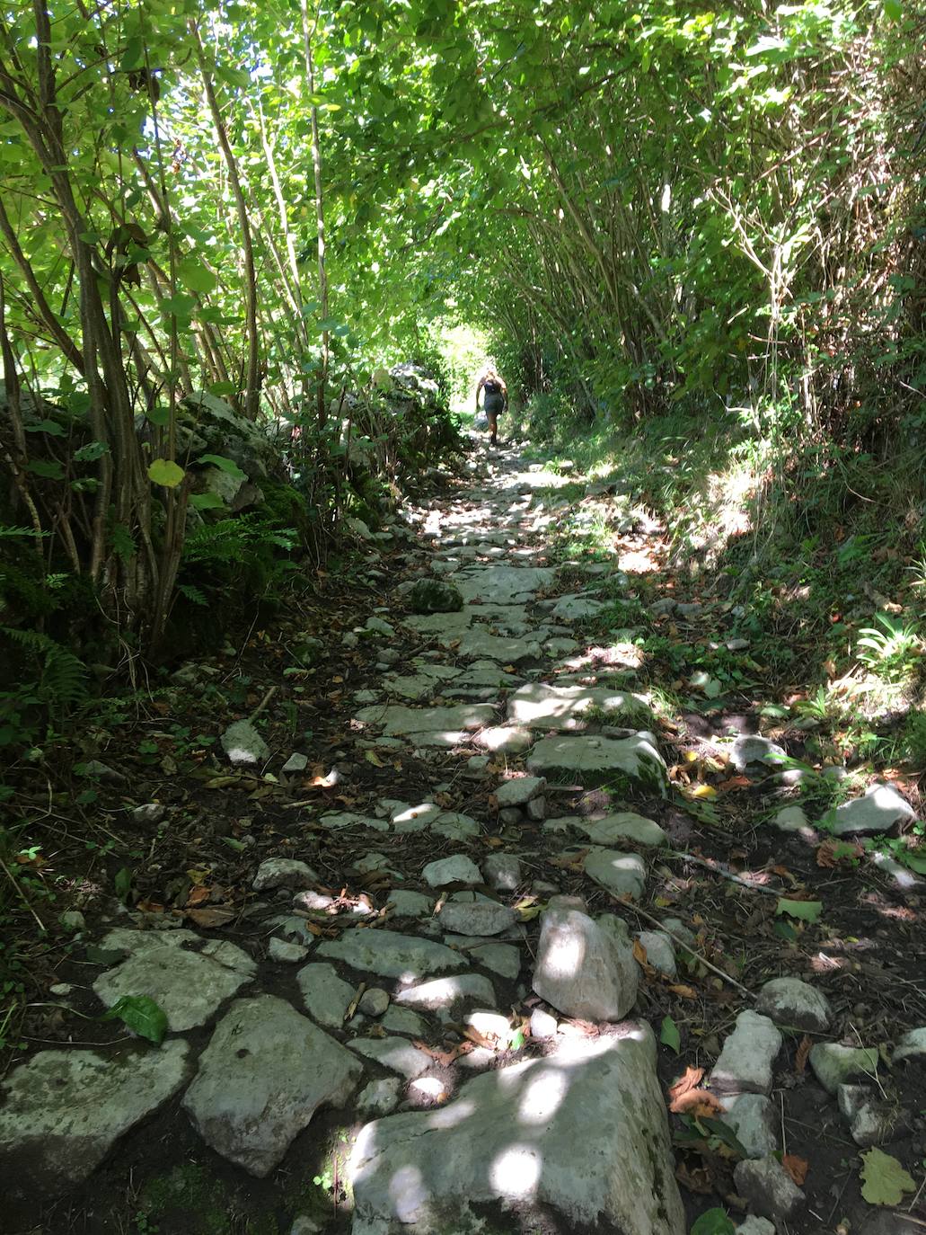 Calzada empedrada de Las Peñas.