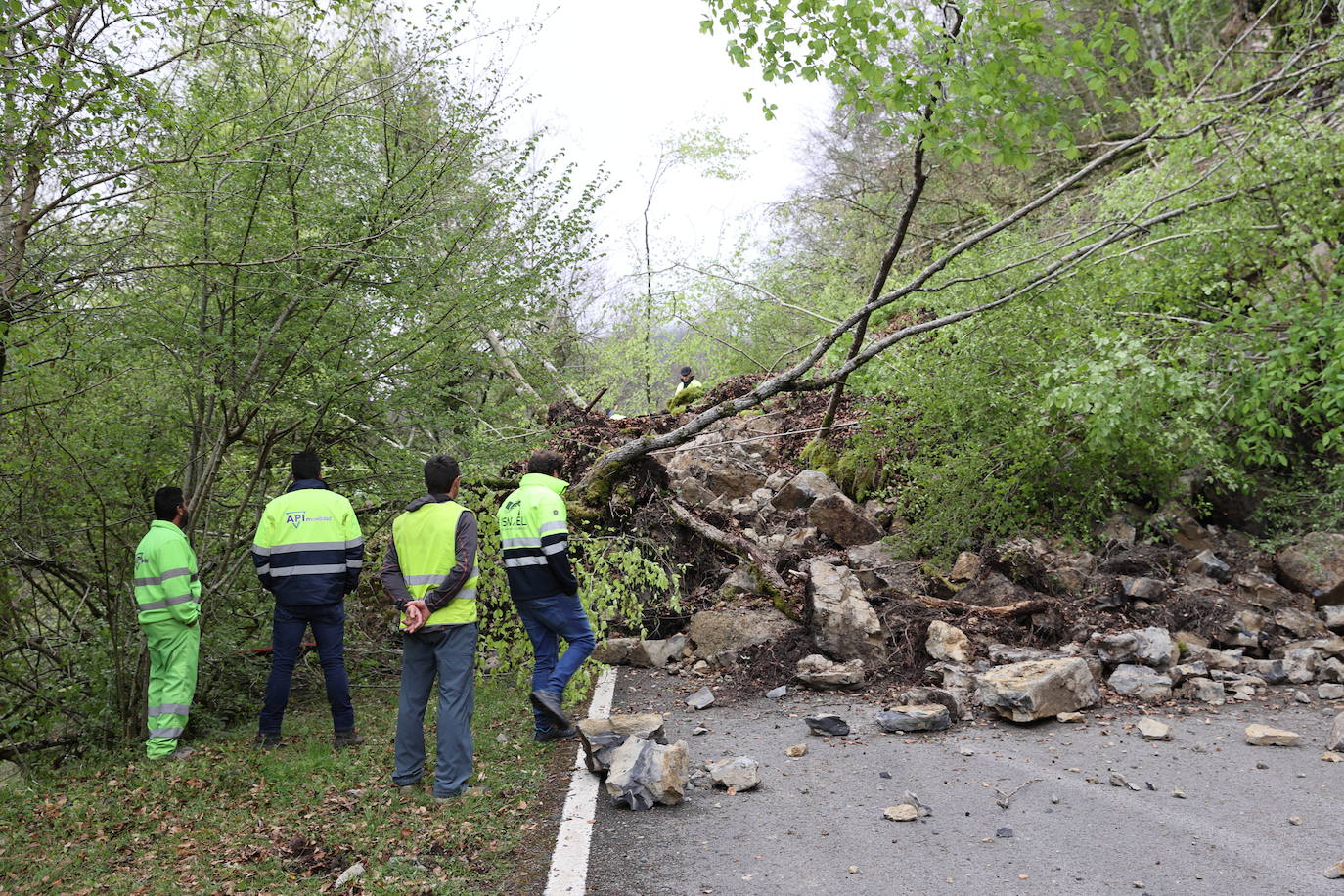 Un argayo de proporciones considerables invadió esta tarde la carretera CA-280, que une Reinosa con el valle de Cabuérniga, en el kilómetro 14,2 a la altura del pueblo de Saja, perteneciente al municipio de Los Tojos.