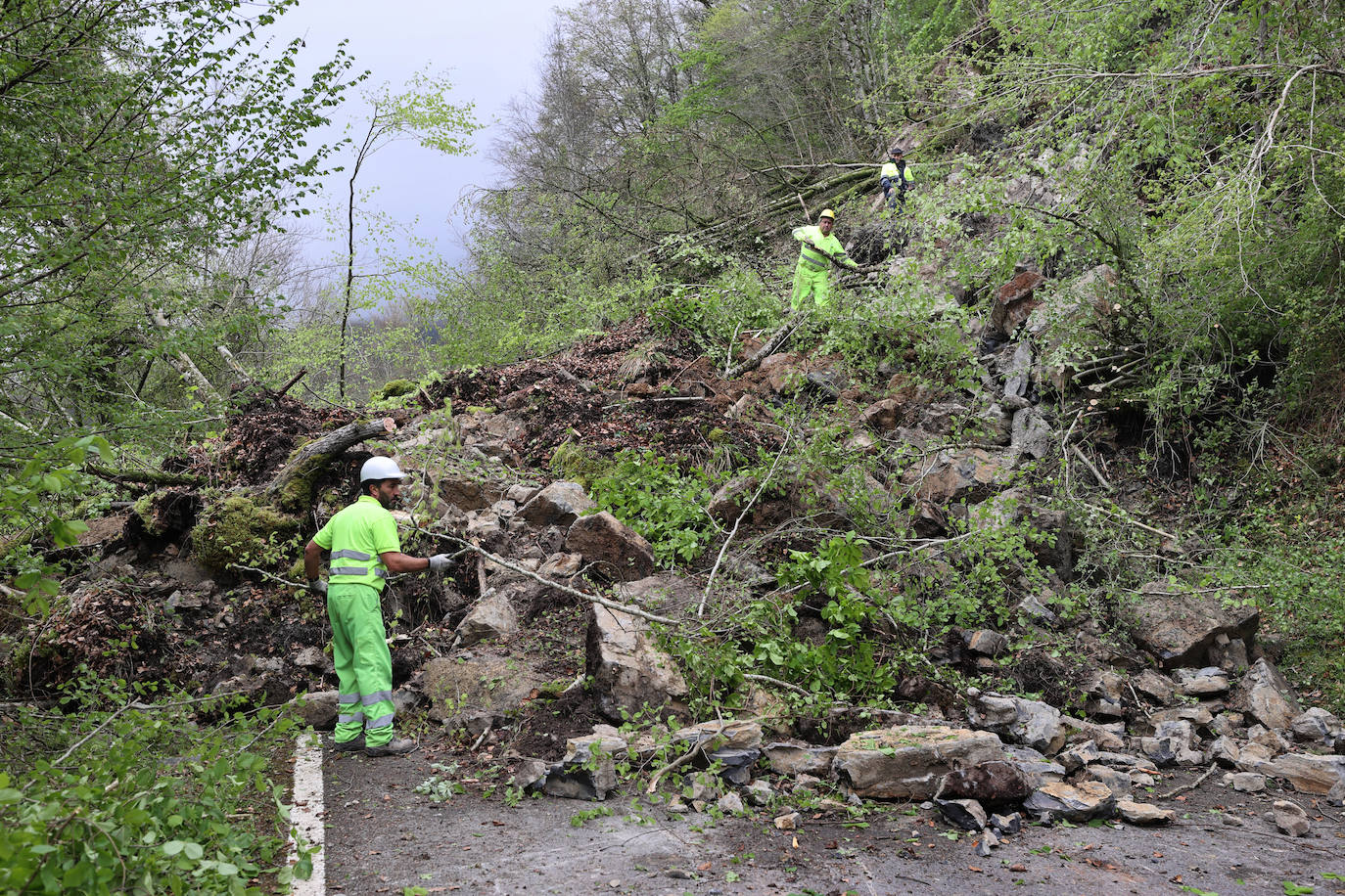 Un argayo de proporciones considerables invadió esta tarde la carretera CA-280, que une Reinosa con el valle de Cabuérniga, en el kilómetro 14,2 a la altura del pueblo de Saja, perteneciente al municipio de Los Tojos.