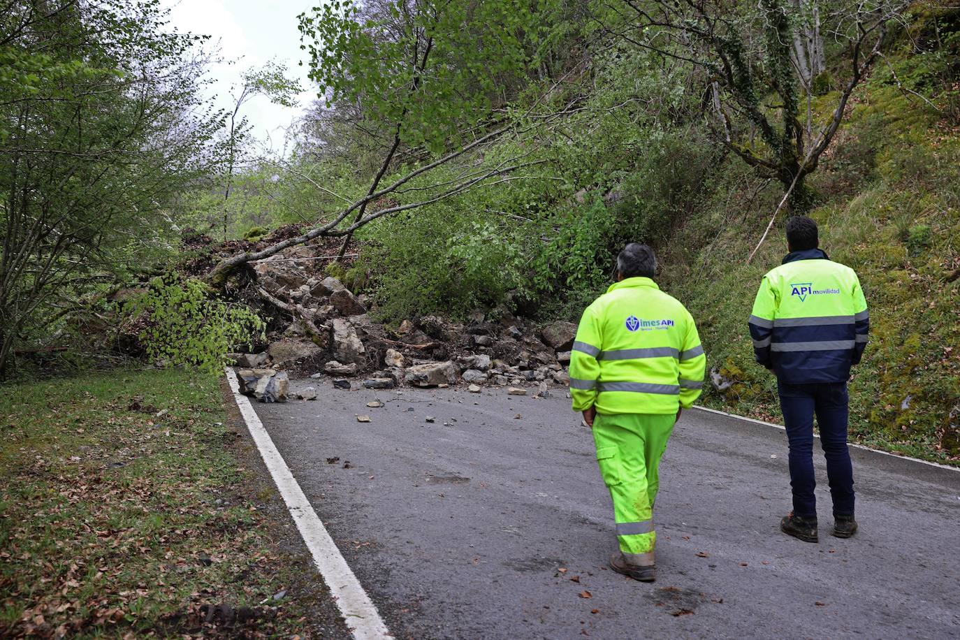 Un argayo de proporciones considerables invadió esta tarde la carretera CA-280, que une Reinosa con el valle de Cabuérniga, en el kilómetro 14,2 a la altura del pueblo de Saja, perteneciente al municipio de Los Tojos.