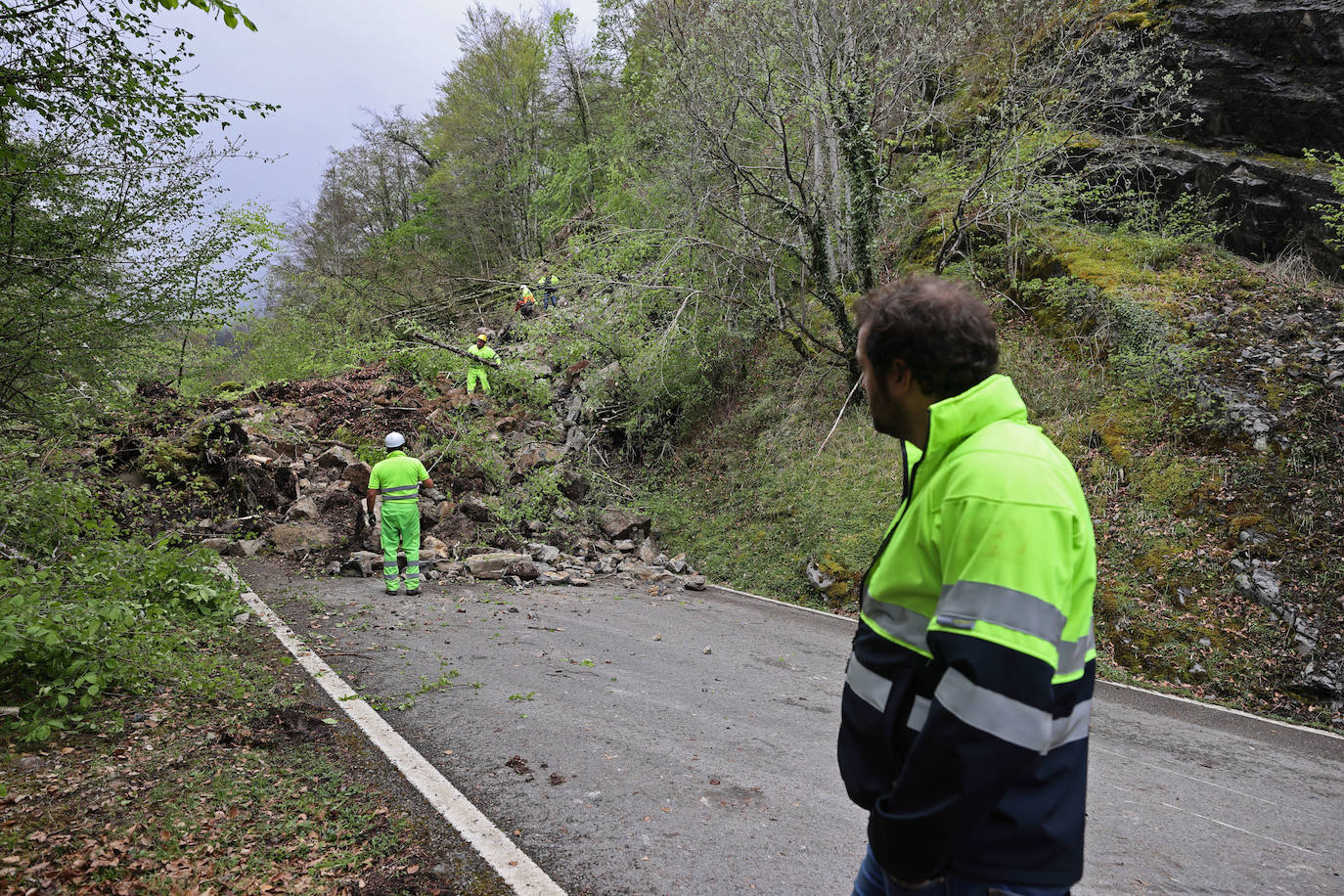 Un argayo de proporciones considerables invadió esta tarde la carretera CA-280, que une Reinosa con el valle de Cabuérniga, en el kilómetro 14,2 a la altura del pueblo de Saja, perteneciente al municipio de Los Tojos.