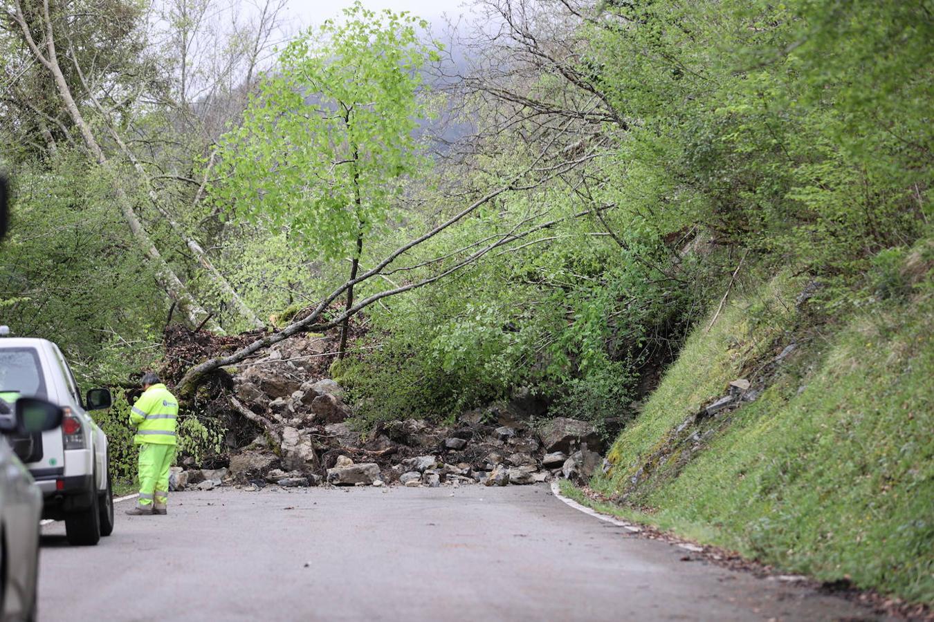 Un argayo de proporciones considerables invadió esta tarde la carretera CA-280, que une Reinosa con el valle de Cabuérniga, en el kilómetro 14,2 a la altura del pueblo de Saja, perteneciente al municipio de Los Tojos.