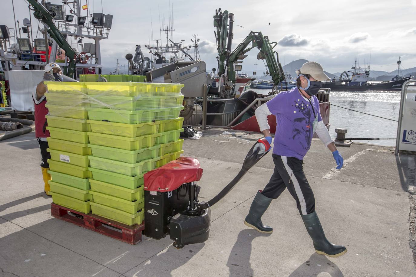 En su primer día de costera, la flota se encontró con abundate pescado a pocas millas de la costa oriental. Las lonjas de Santoña y Laredo subastaron 500 toneladas