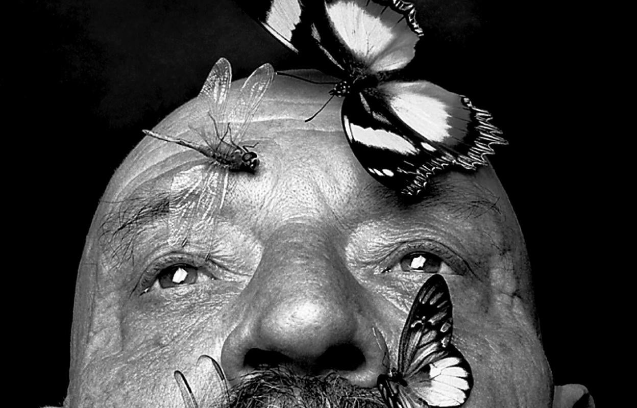 El rostro de José Hierro, cubierto de mariposas y libélulas, en la serie 'Retratos psicológicos'.
