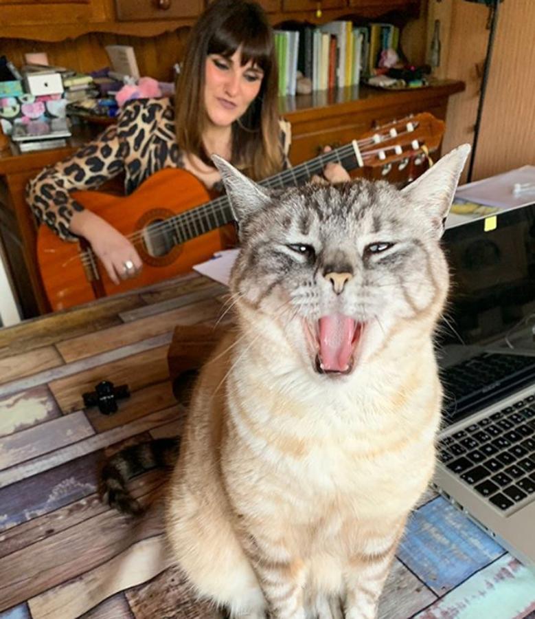 Rozalén tocando su casa con su gato.