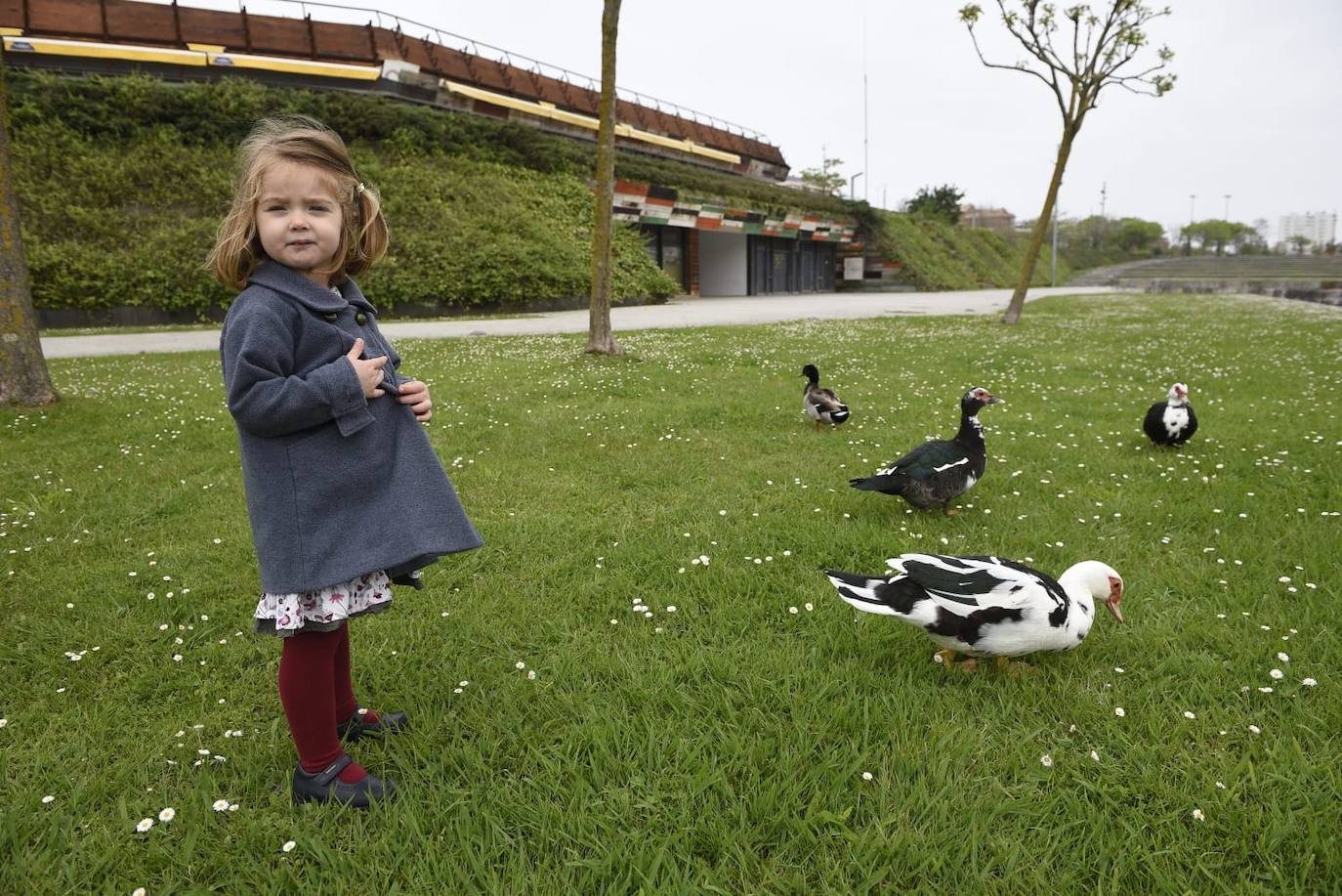 Fotos: Los niños de Cantabria pisan la calle