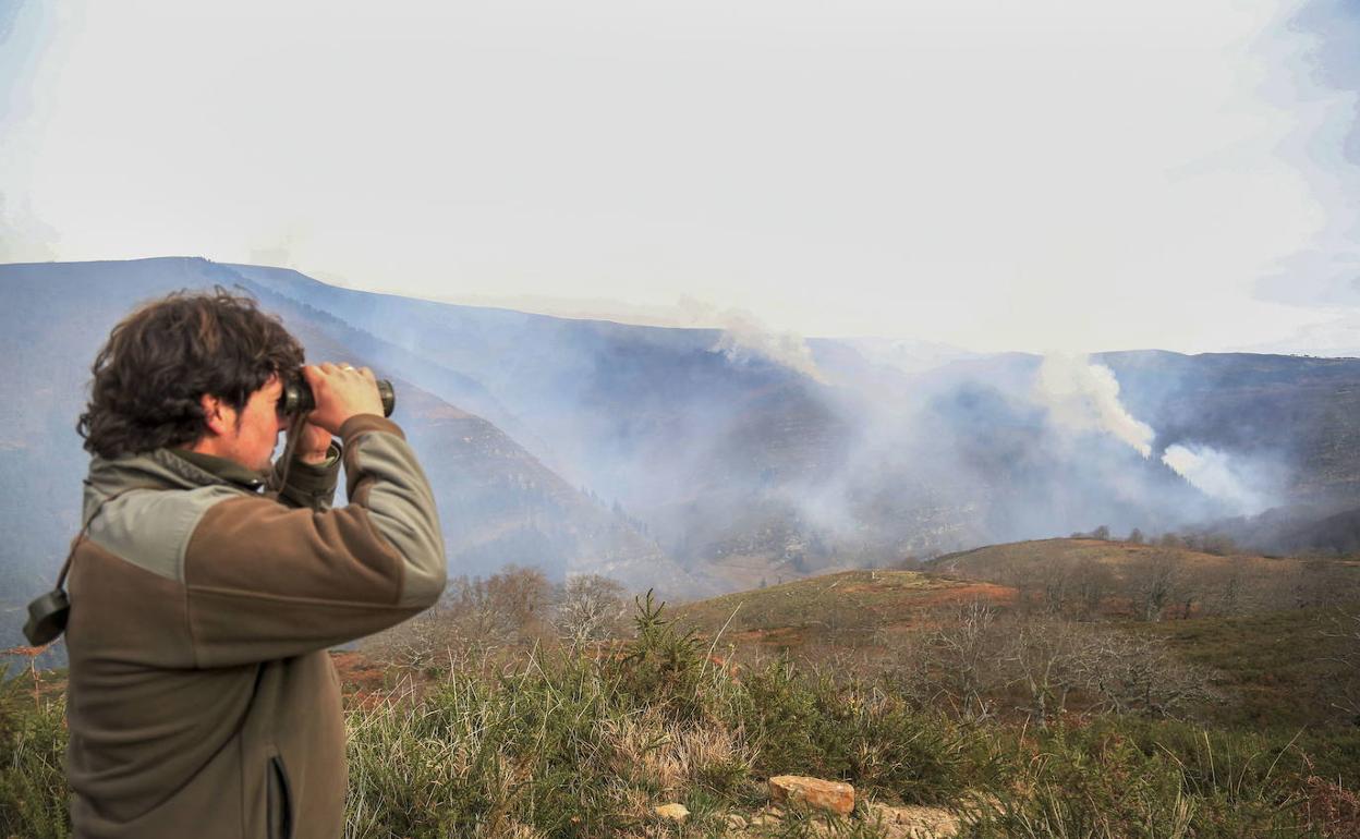 El Gobierno de Cantabria activa el nivel 2 del operativo de incendios en cinco comarcas