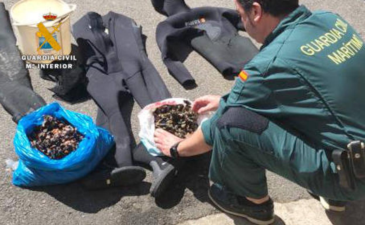 Incautan más de 10 kilos de percebes cogidos de forma ilegal en Cabo Mayor