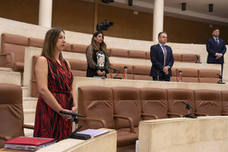 Fotos: Intervención de la consejera de Economía en la comisión especial del COVID-19 en el Parlamento de Cantabria