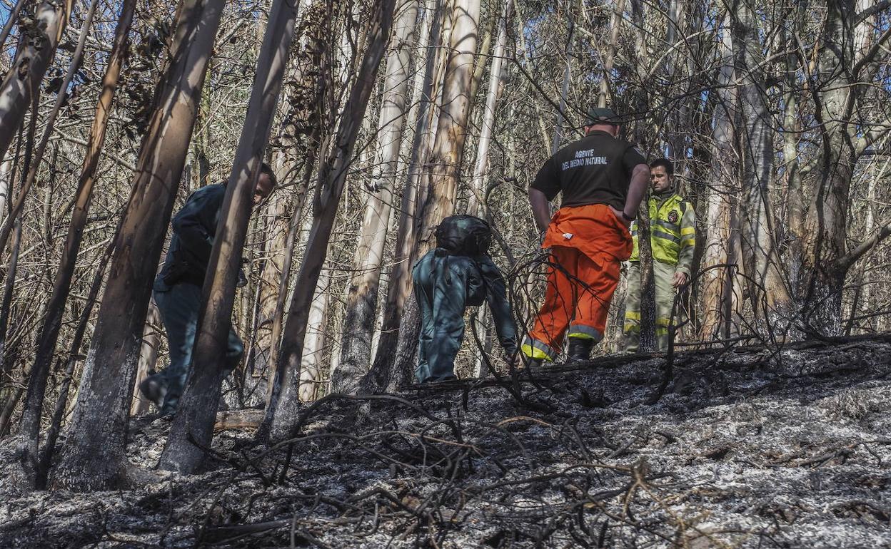 La Fiscalía pide 4 años de cárcel para el exjefe de los voluntarios de Ramales por el incendio de La Alcomba