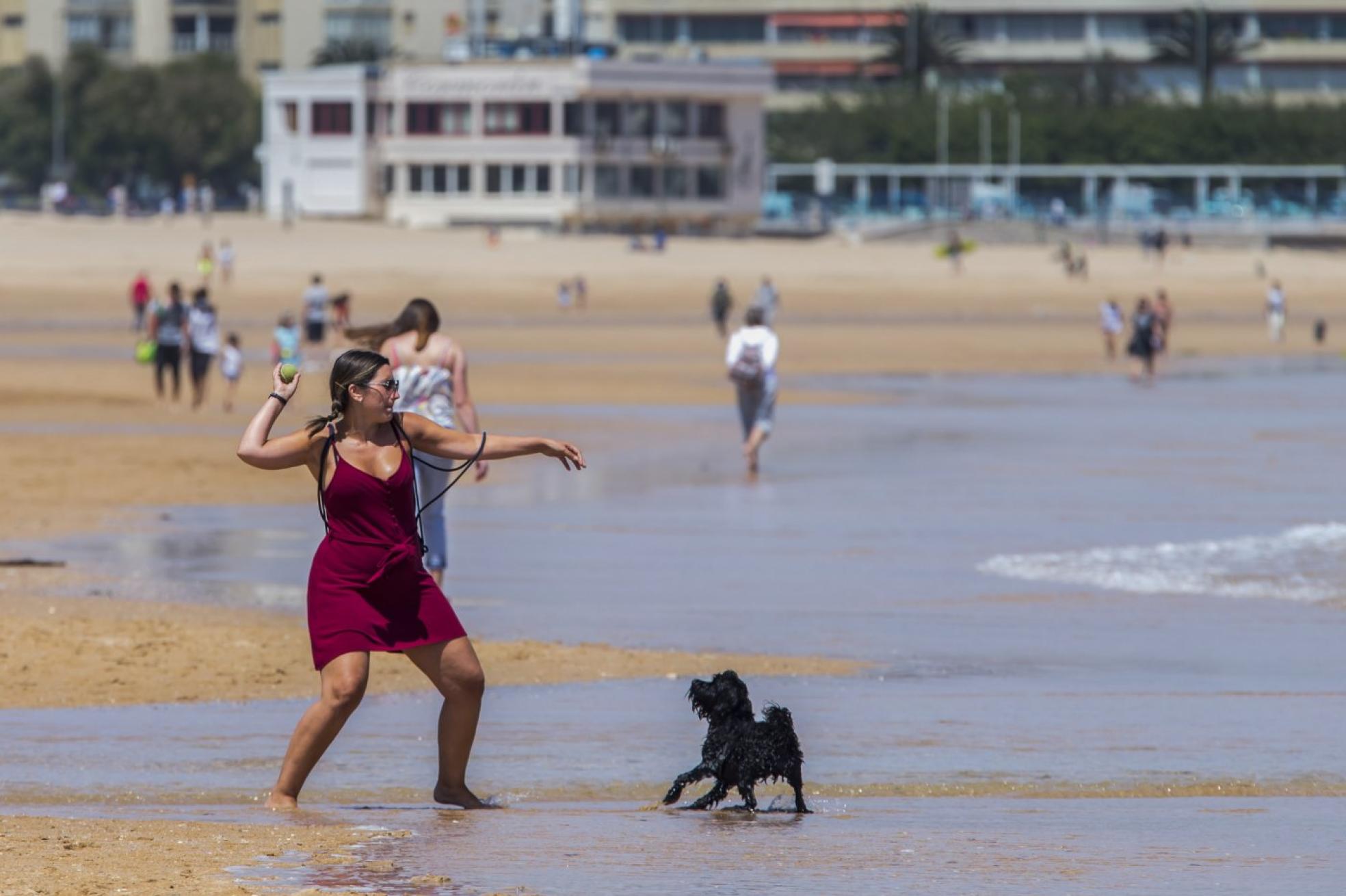 Mascotas. Una joven juega con su perro junto a la orilla, ayer, en la primera playa de El Sardinero. r. ruiz 