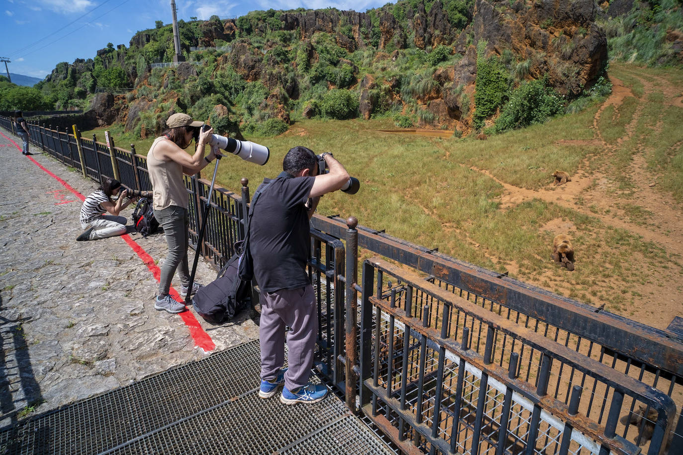 Fotos: Cerca de 300 personas visitan cabárceno en su reapertura