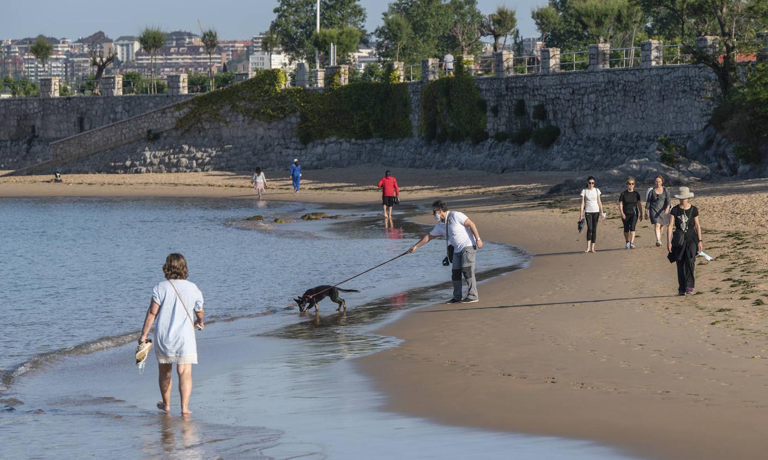 Fotos: La norma impediría el uso de algunos arenales