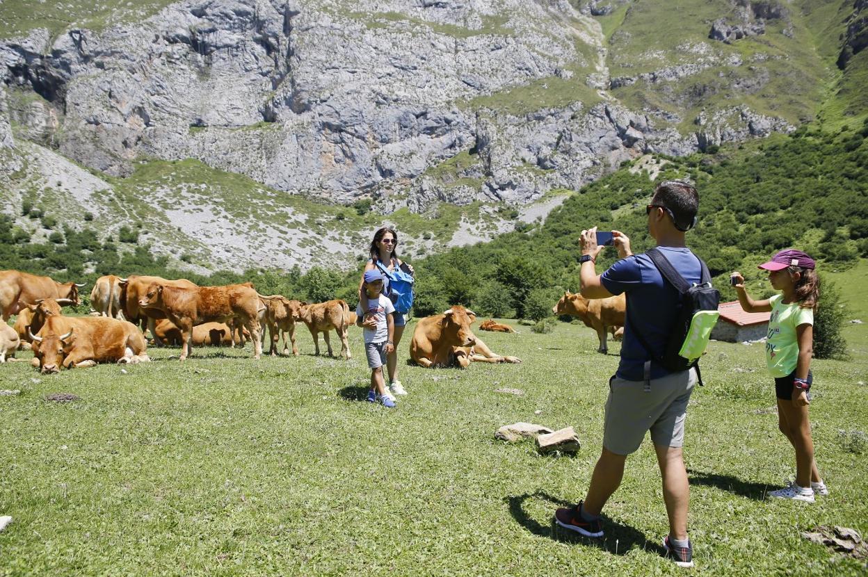 El turismo rural exige garantías jurídicas si se da el caso de un cliente con Covid-19