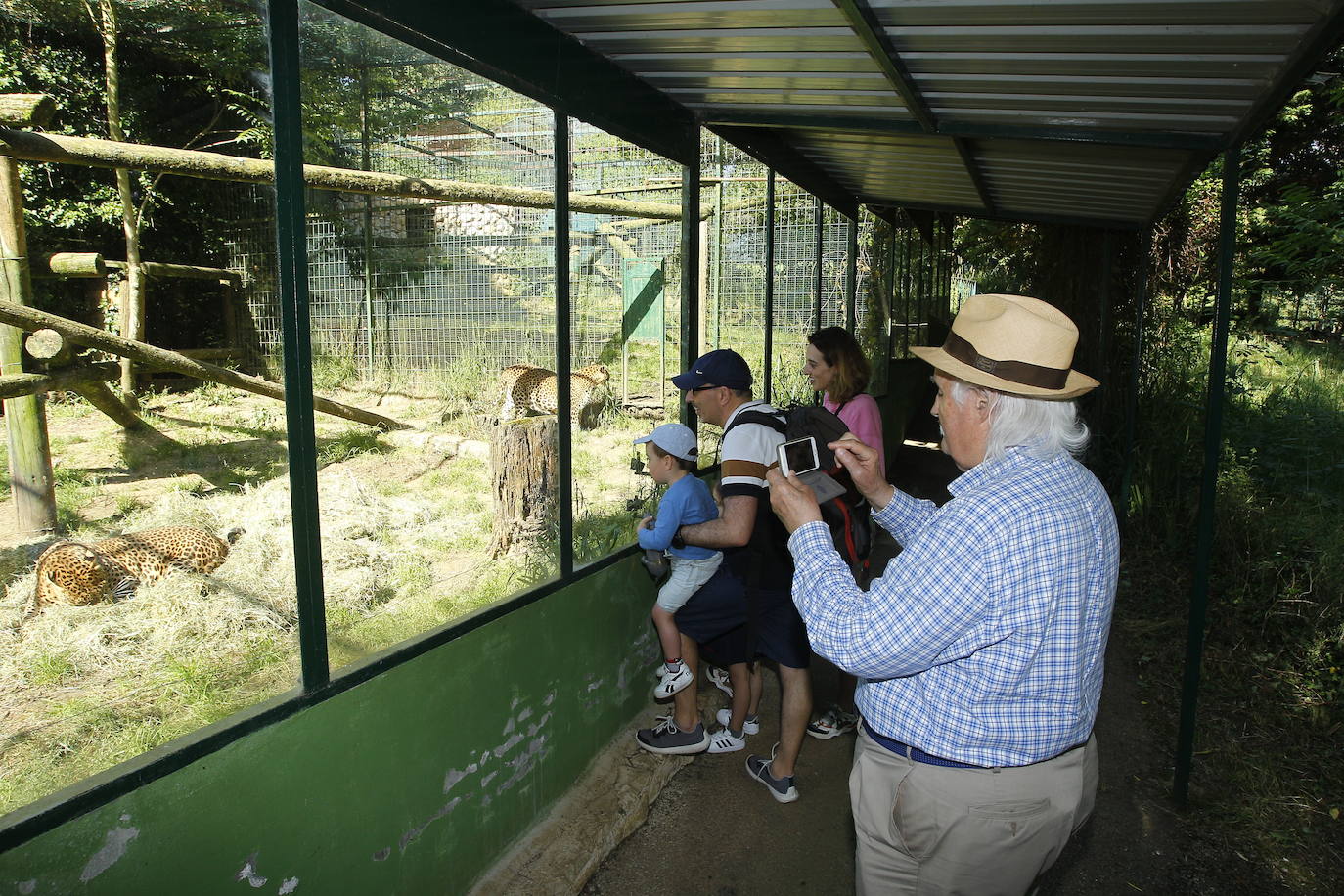 Fotos: Buen ambiente en Santillana