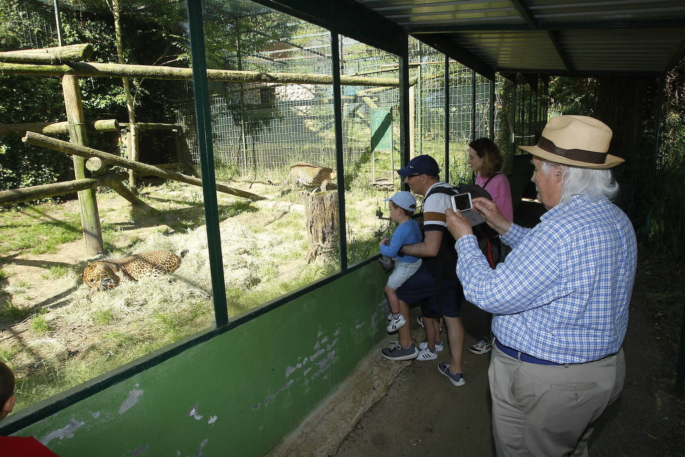 Fotos: Buen ambiente en Santillana