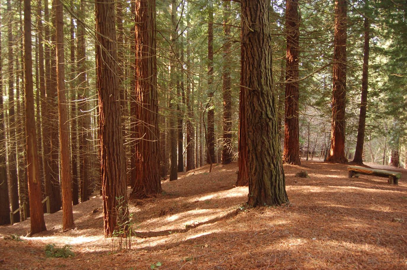 Fotos: Imágenes de los parajes que incluyen las actividades de Naturea Cantabria